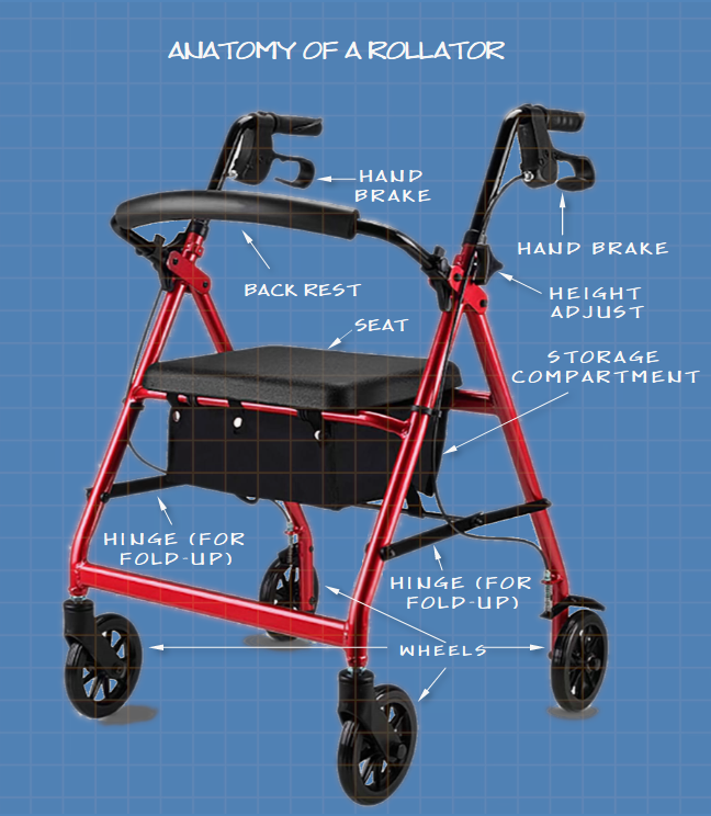 Rollator%20anatomy.png