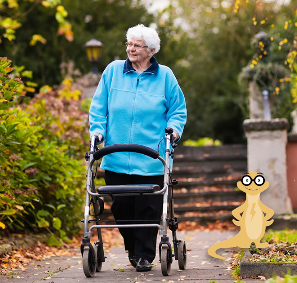 Spark%20%26%20rollator.png